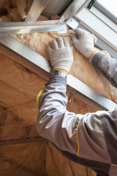 Best Cellulose Insulation in Crosbyton, TX